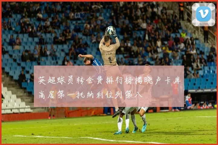 英超球员转会费排行榜揭晓卢卡库高居第一托纳利位列第八