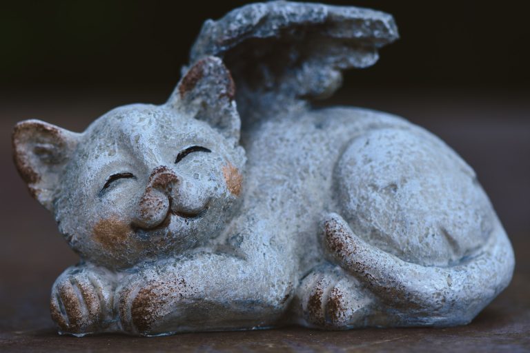 healing-rituals:-creating-a-memorial-for-your-beloved-cat-through-cremation