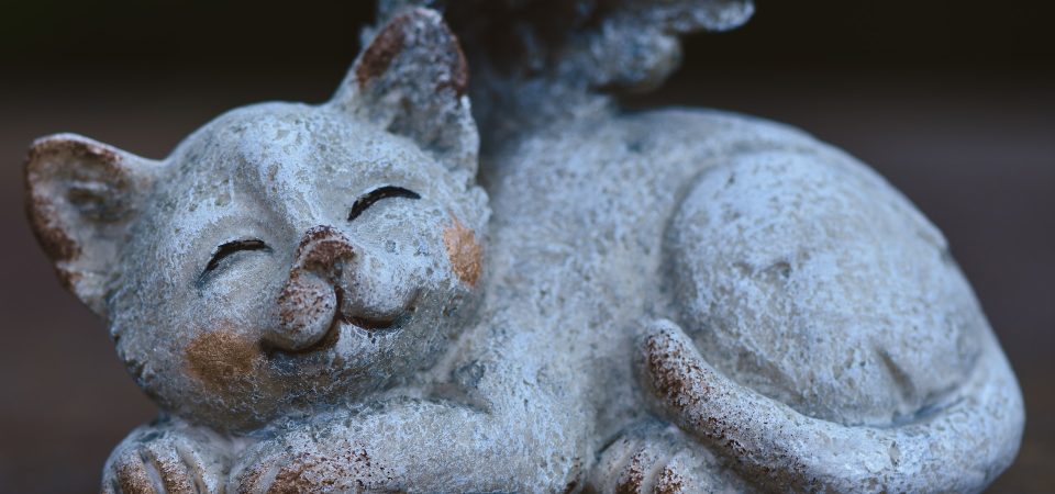 healing-rituals:-creating-a-memorial-for-your-beloved-cat-through-cremation