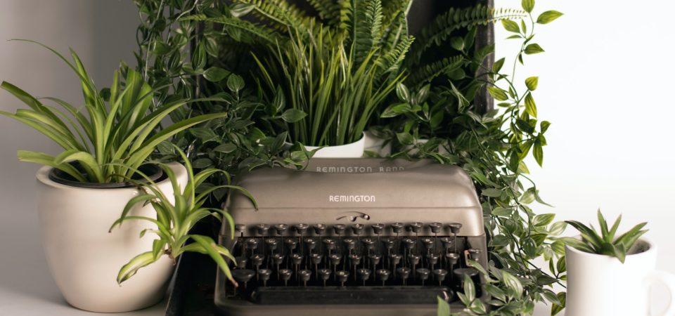 the-content-writer-role-at-buffer:-what-we-looked-for-in-applications