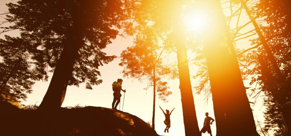 4-tips-from-top-social-media-managers-to-grow-your-online-business