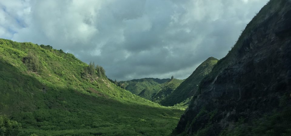 Social Media Is Filling The Void In Post-Disaster Reporting In Maui