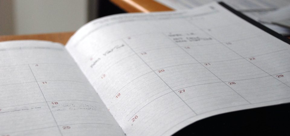 Schedule Individual Ads