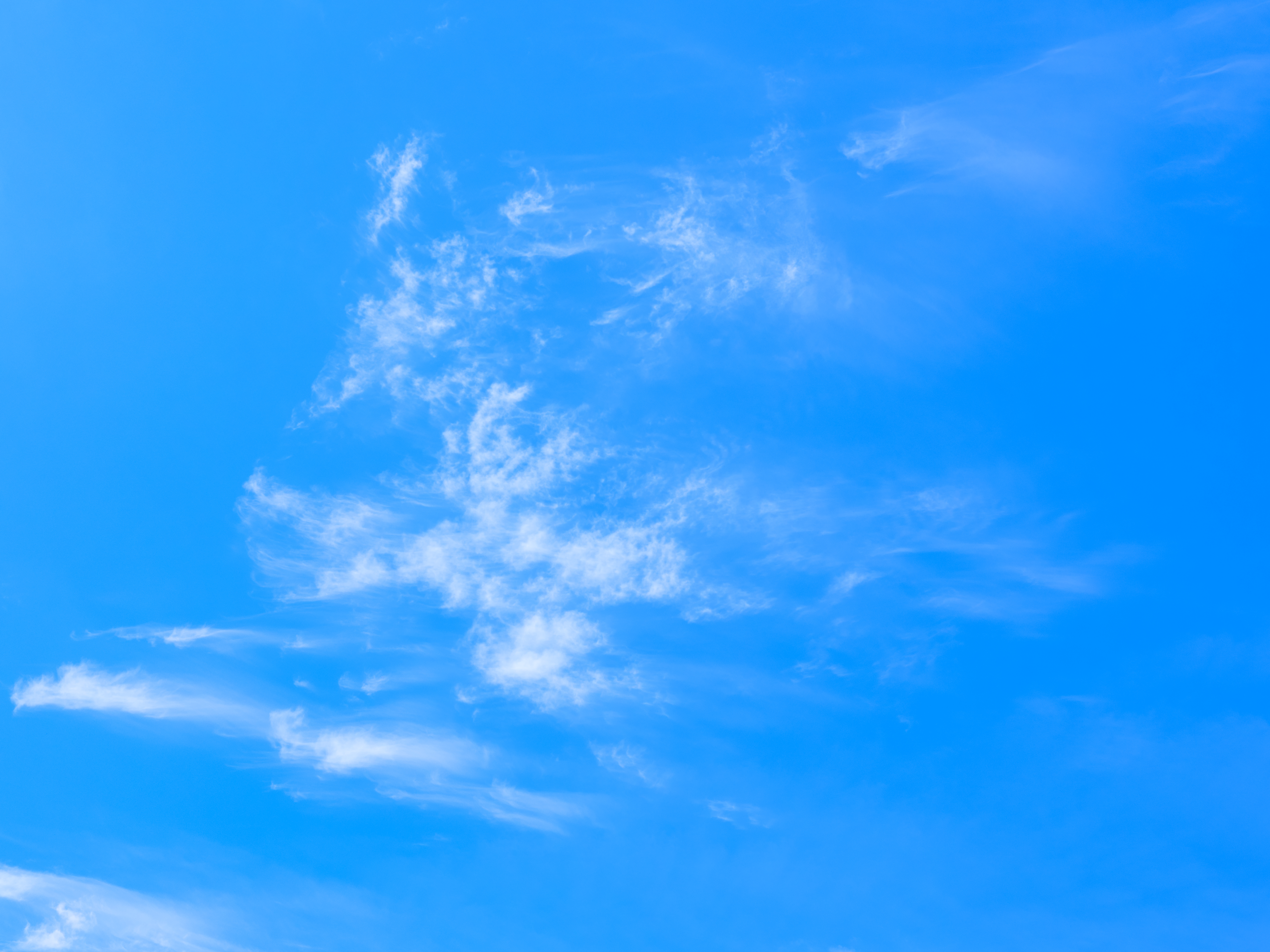 Uncovering the Pros and Cons of Bluesky after Extended Use