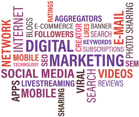 From Consumers to‌ Active Participants: The Social Influence of Subscription Services