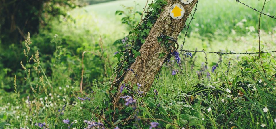Showcasing Your Fence Contracting Work on Social Media: Building Your Brand’s Success