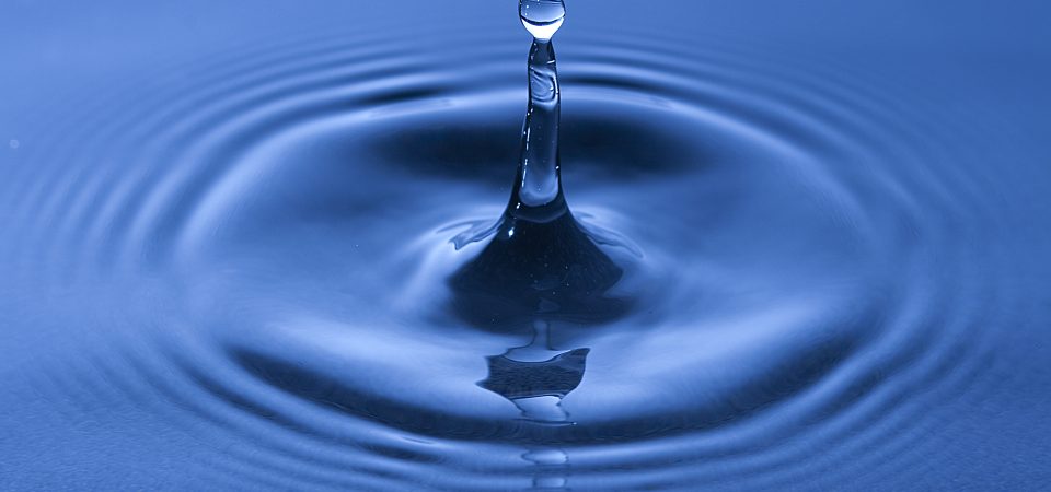 Tackling Societal Health Challenges through Improved Water Quality and Sanitation Standards