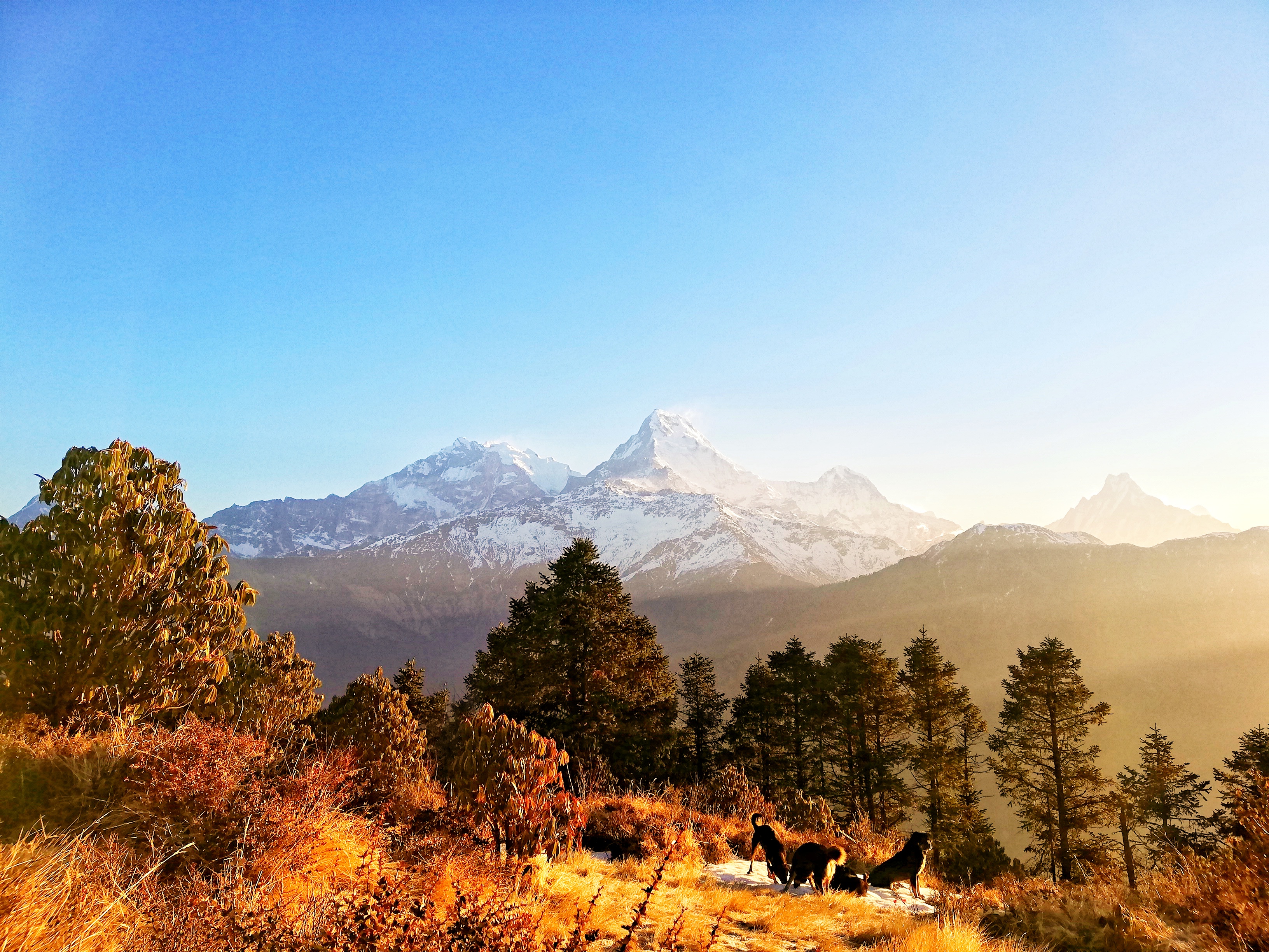 Natural Beauty: Integrating Sustainable Landscaping With ​Waste ⁢Management