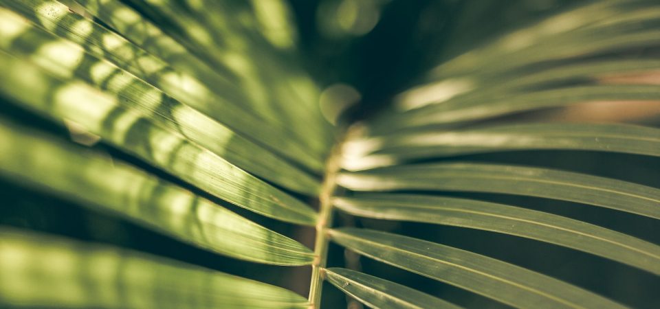 How to Manage Project Cash Flow