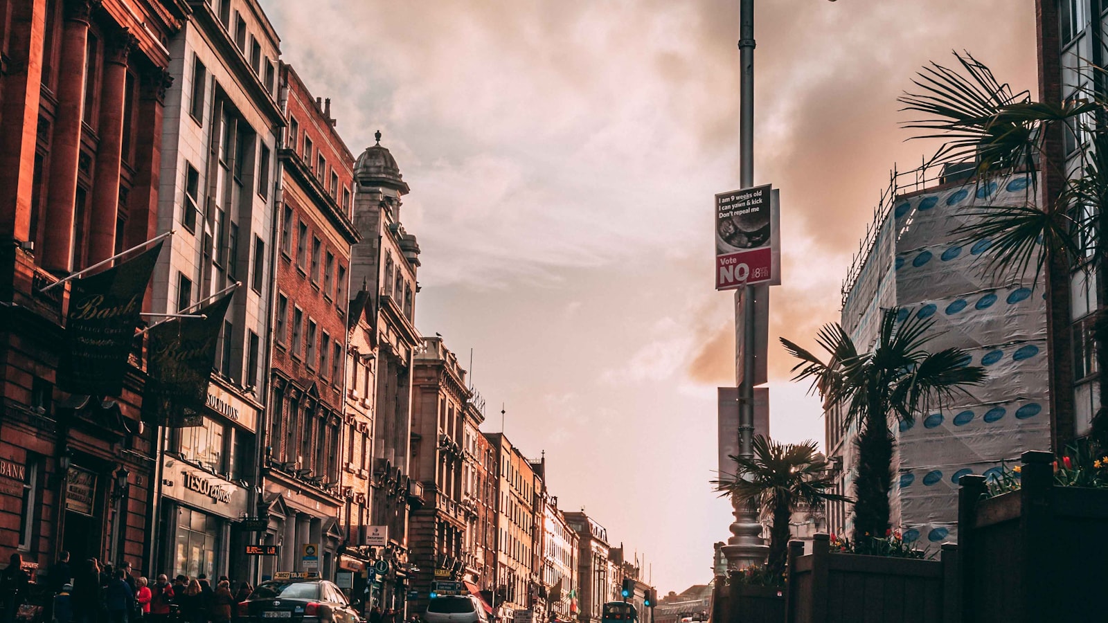 - ⁣Peak Hours for Increased Visibility