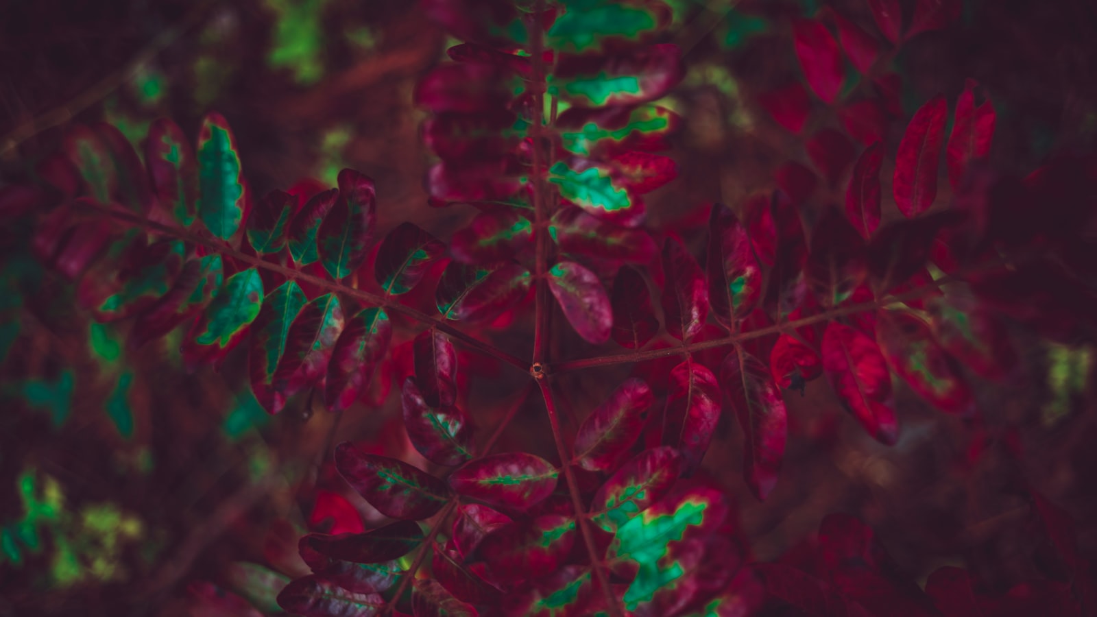 The Shift ​Towards Targeted Advertising