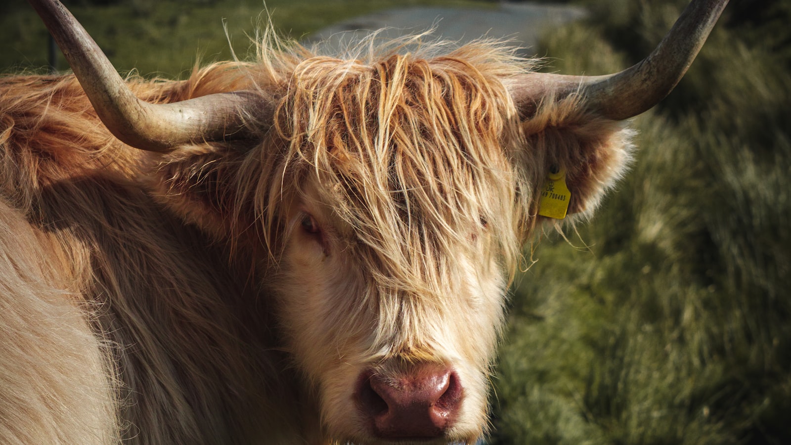 Sustainability Practices for a Greener Trucking Industry