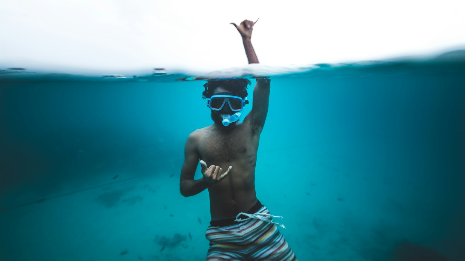 Diving Deep into Asana Vs Monday: An Overview