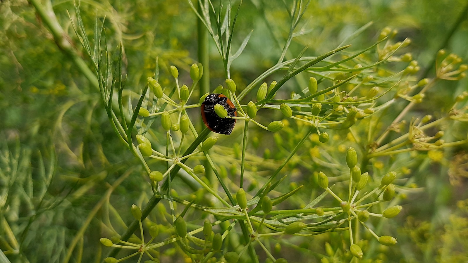 The Importance of Trucking in Commerce