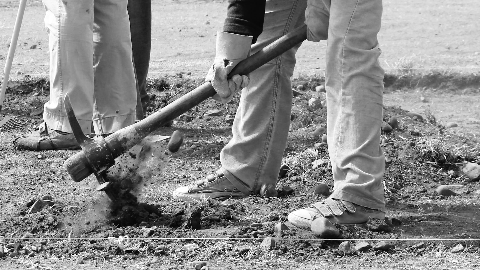 Digging Deep into the User-Interface: A Comparative Review