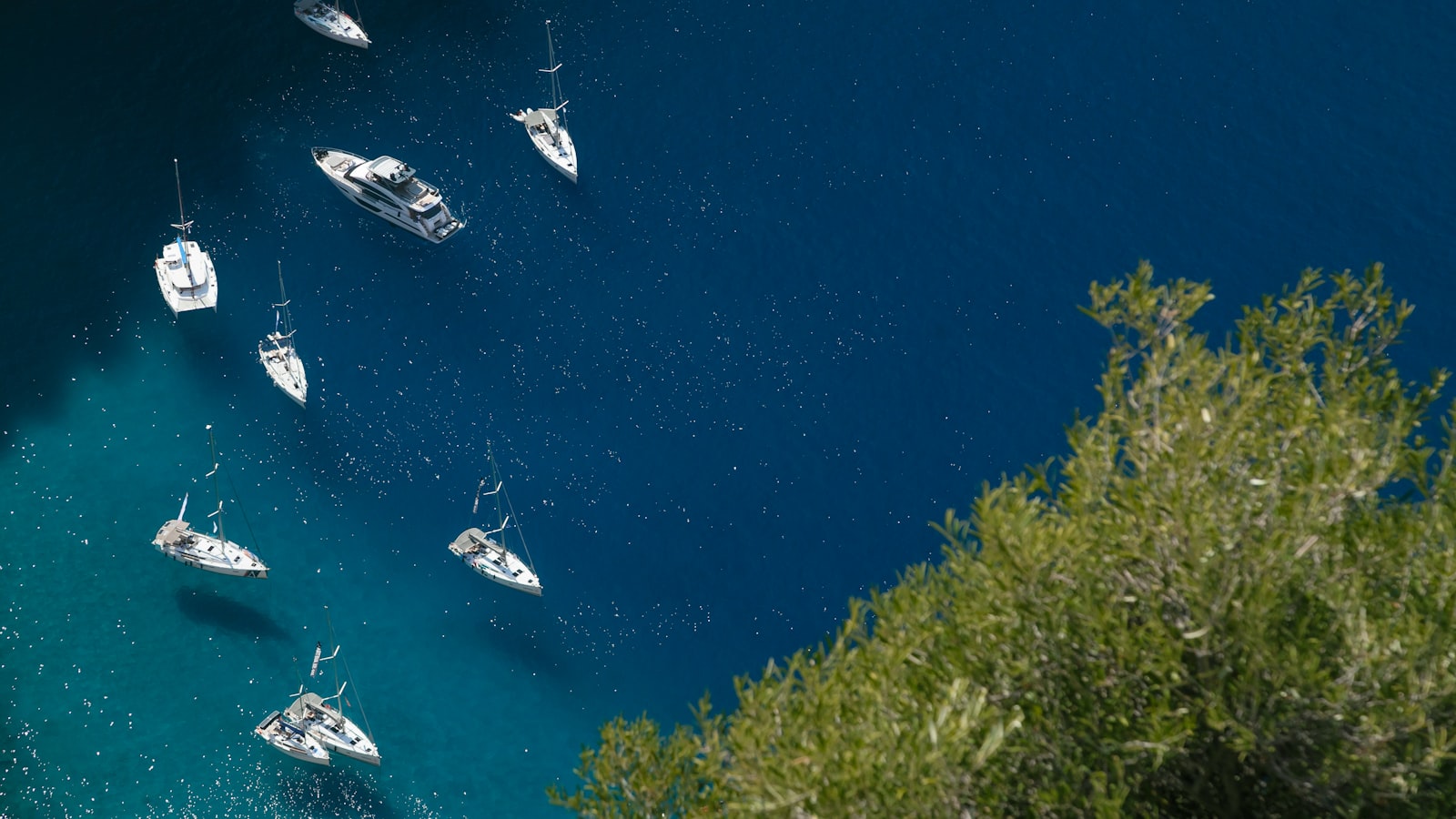 - Navigating the Uncertainty: Strategies for Marketers on Buffer