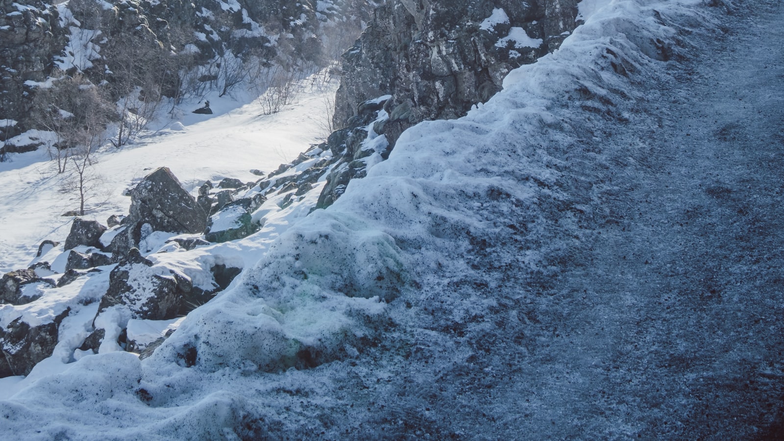 Challenging Assumptions: Embracing Individuality in a World of Comparison